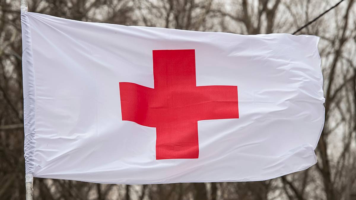 День Красного Креста и День памяти и примирения: какие праздники отмечают в России и мире 8 мая