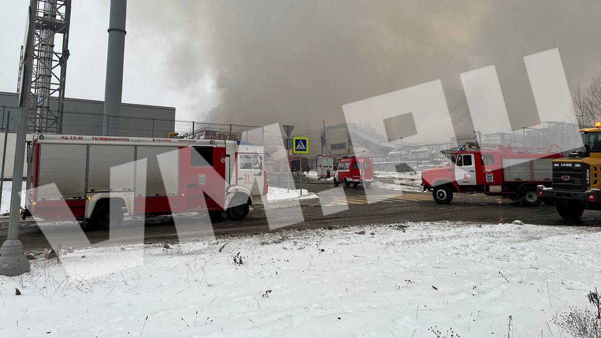 «Печальная история»: эколог Рыбальченко оценил последствия пожара в ТЦ «Мега Химки»