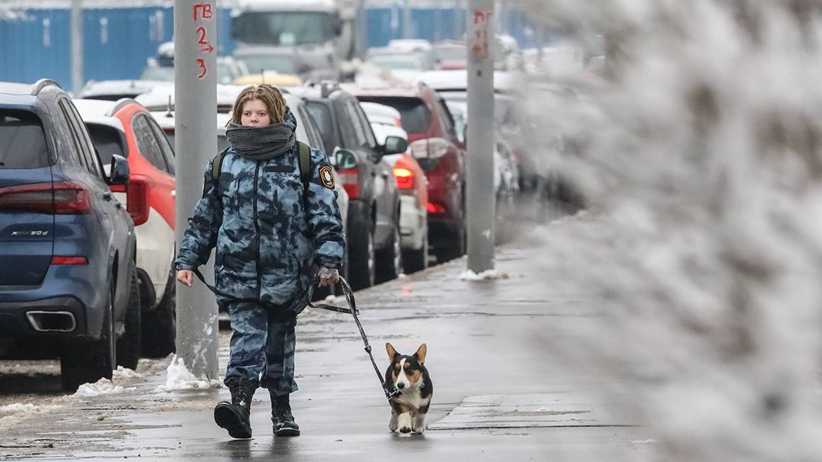 Синоптик Позднякова назвала последний день астрономический зимы в Москве