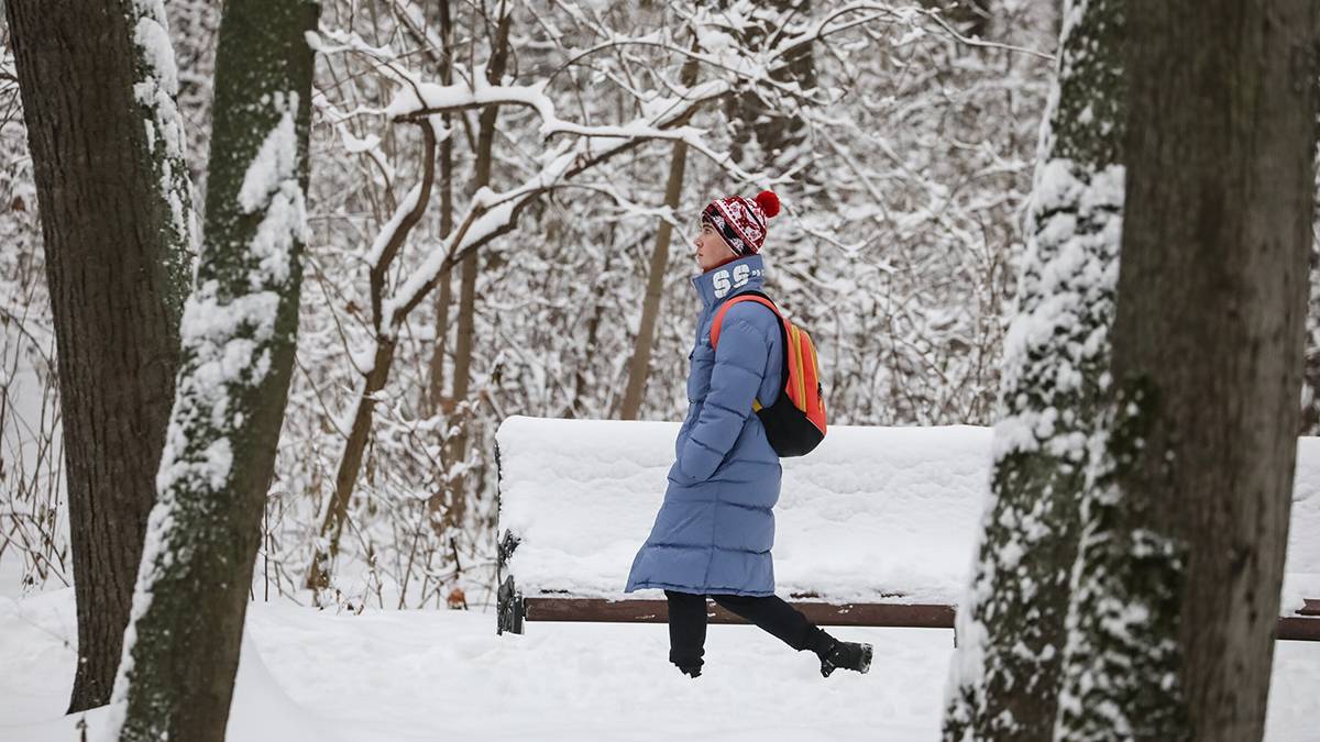 Синоптики пообещали москвичам снежную погоду 5 февраля