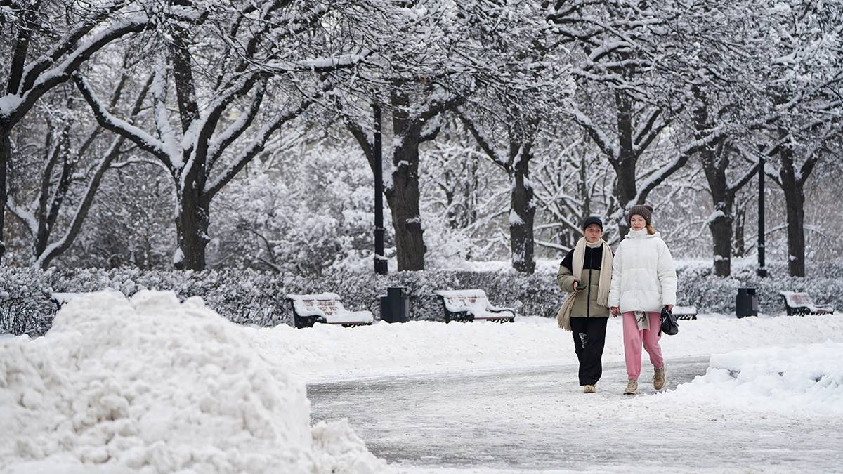 Синоптики рассказали о предстоящих снегопадах в Москве
