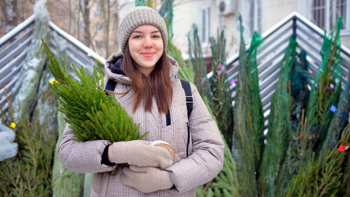 Манит хвойным ароматом: когда выгоднее всего покупать новогодние елки