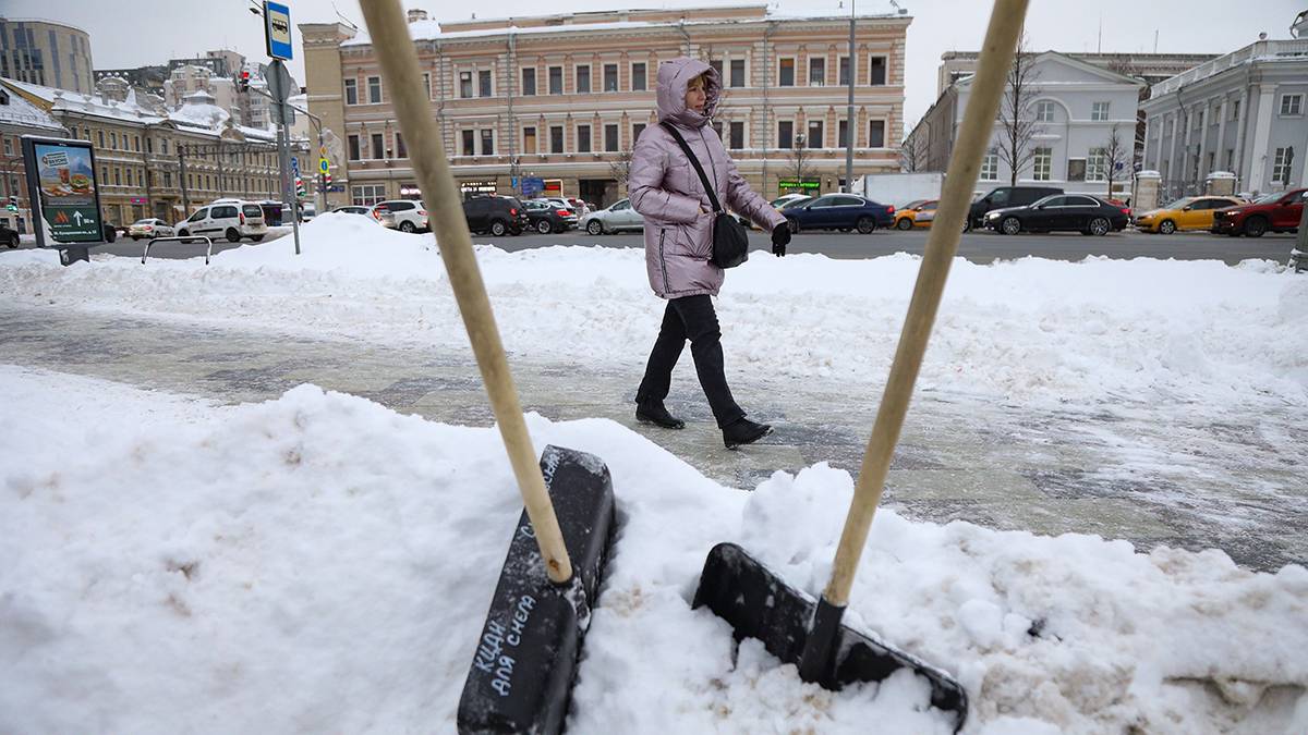 Синоптики пообещали москвичам снежную и теплую погоду 29 января