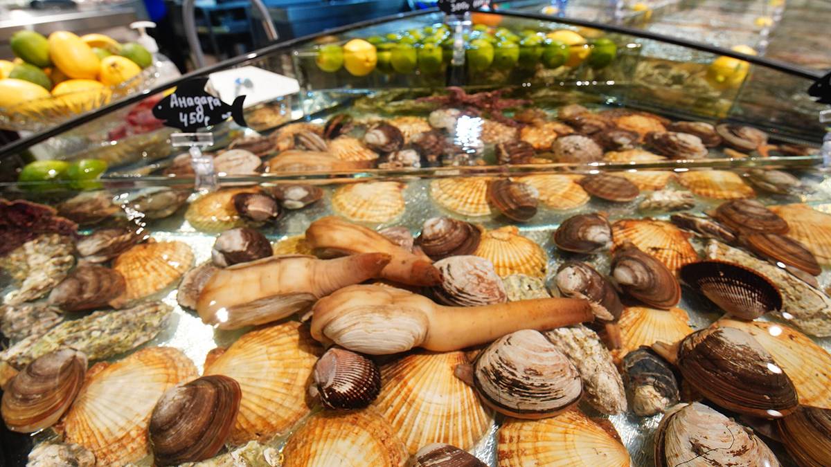 Science: В Китае нашли моллюска, жившего 500 миллионов лет назад