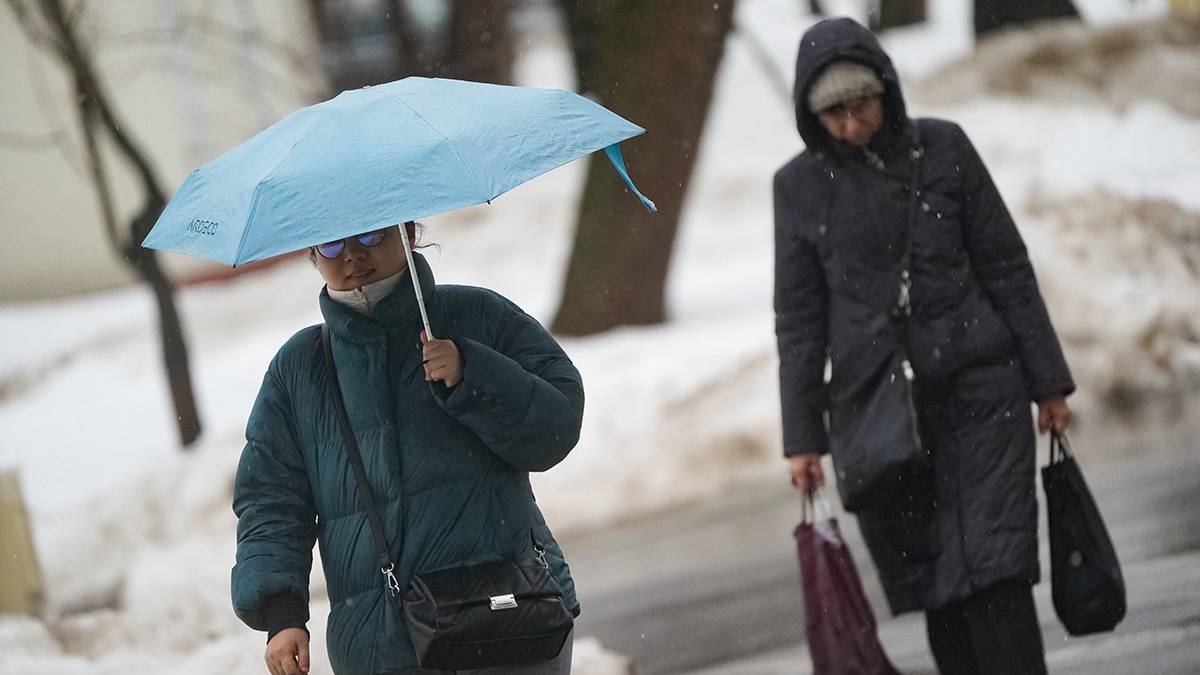 Синоптики предупредили москвичей о мокром снеге и и дожде 25 февраля