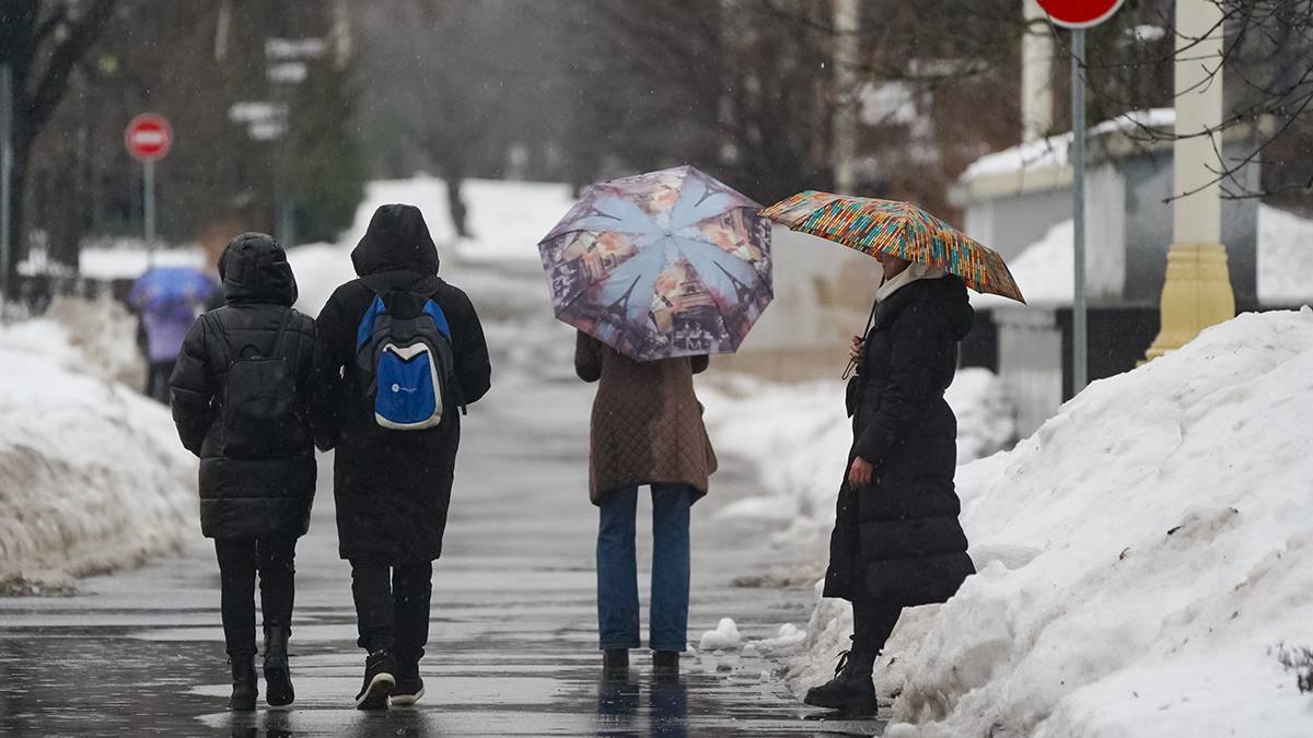 Синоптики предупредили москвичей о снеге с дождем 1 февраля