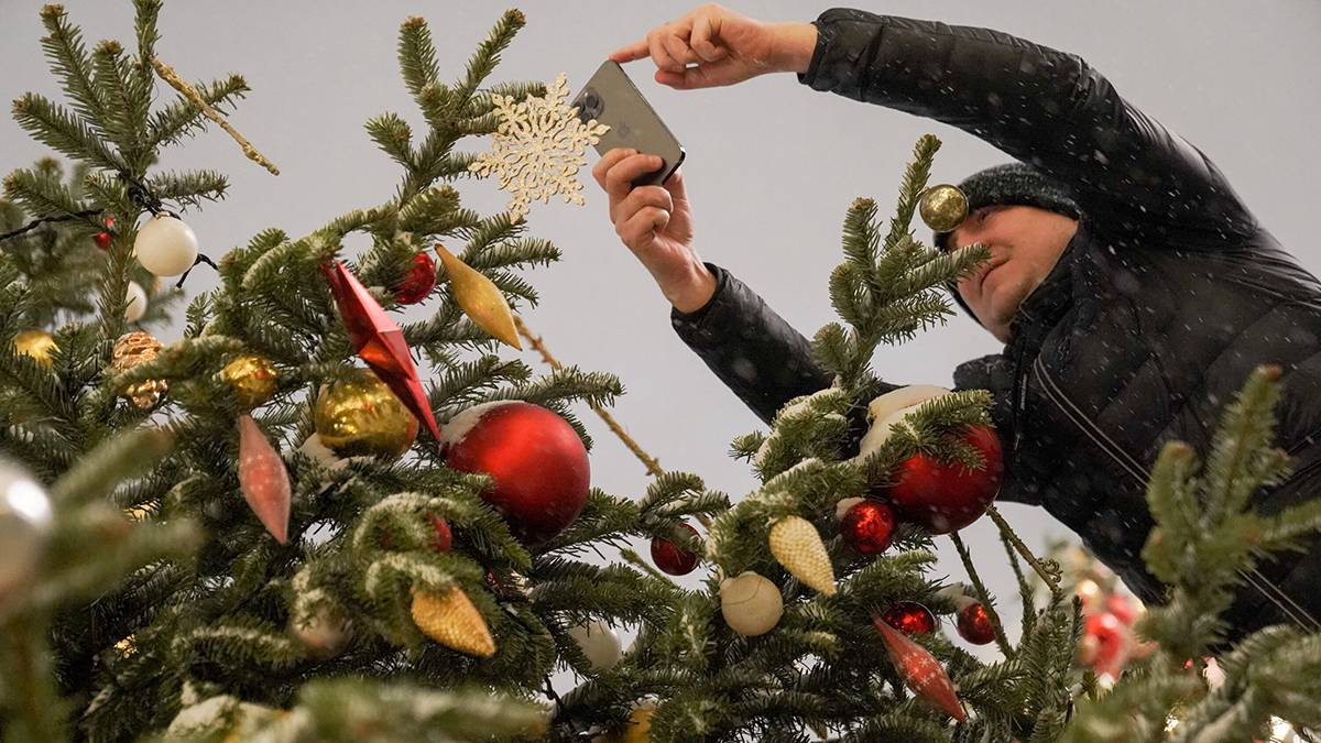 В Петербурге завершили украшение главной новогодней ели 