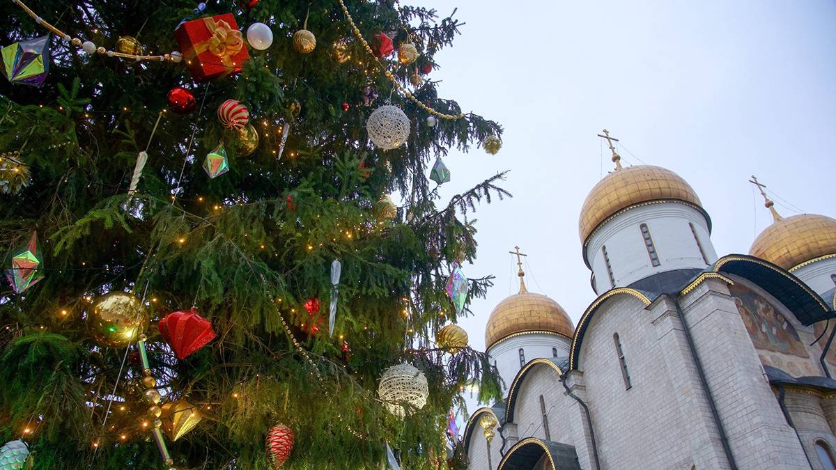 Главную новогоднюю ель России спилили в Щелковском округе