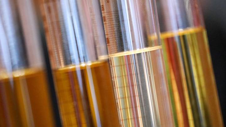 Имеем завидный потенциал: российская наука развивается в условиях русофобских санкций