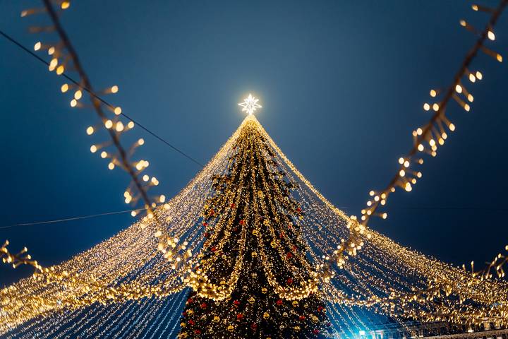 Сергунина: На столичном турпортале Discover Moscow появился новогодний путеводитель