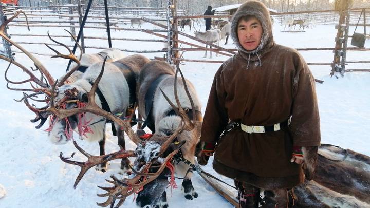 Новосибирский зоопарк имени Ростислава Александровича Шило