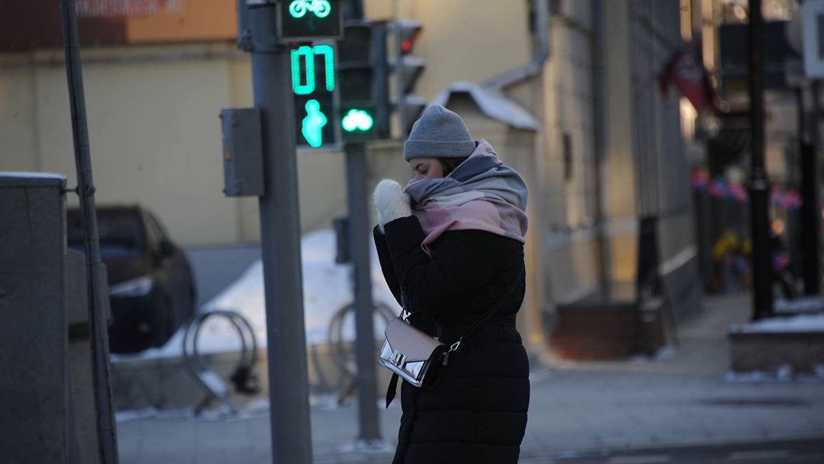 Вильфанд предупредил о похолодании до минус 13 градусов в Москве на следующей неделе