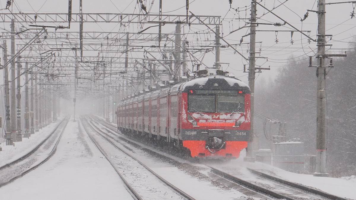 СЖД: Три поезда в Москву задержаны в Ярославской области по техническим причинам