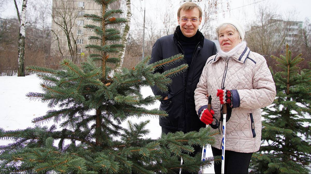 Аллея проекта «Московское долголетие» зеленеет даже зимой