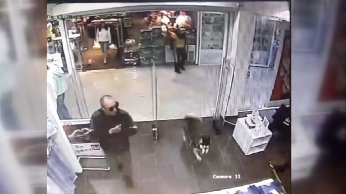 Двое жителей Пермского края взяли с собой хаски на ограбление магазина одежды