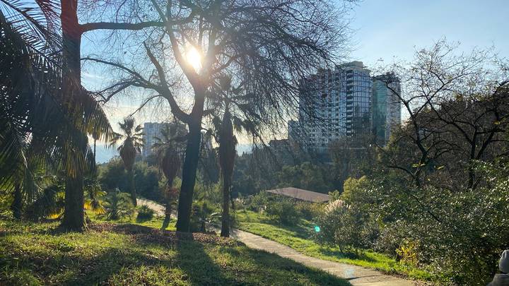 Фото: Иссалина Аюпова / Вечерняя Москва Фото: Иссалина Аюпова / Вечерняя Москва