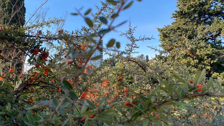Фото: Иссалина Аюпова / Вечерняя Москва Фото: Иссалина Аюпова / Вечерняя Москва