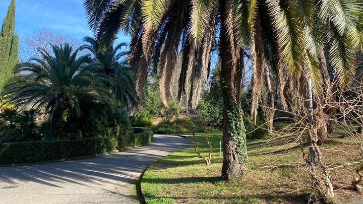 Фото: Иссалина Аюпова / Вечерняя Москва Фото: Иссалина Аюпова / Вечерняя Москва