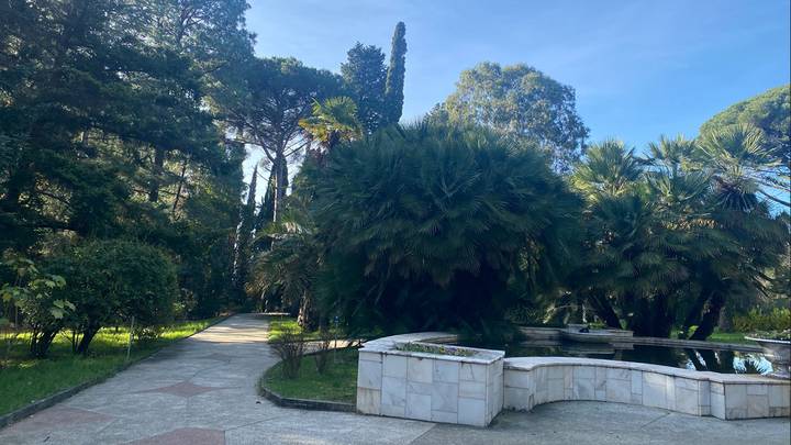 Фото: Иссалина Аюпова / Вечерняя Москва Фото: Иссалина Аюпова / Вечерняя Москва