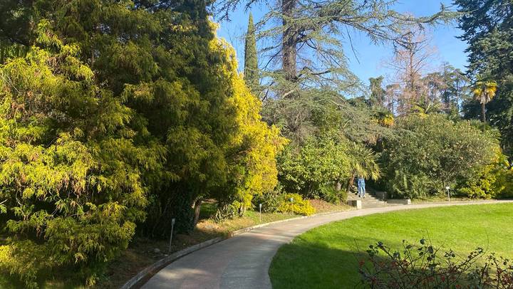 Фото: Иссалина Аюпова / Вечерняя Москва Фото: Иссалина Аюпова / Вечерняя Москва