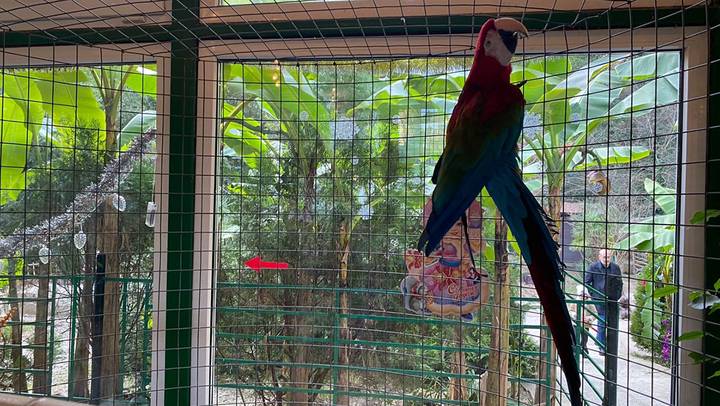 Фото: Иссалина Аюпова / Вечерняя Москва Фото: Иссалина Аюпова / Вечерняя Москва