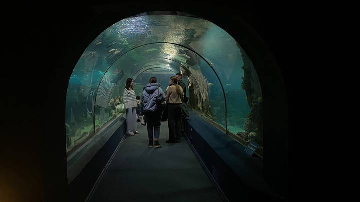 Фото: Иссалина Аюпова / Вечерняя Москва Фото: Иссалина Аюпова / Вечерняя Москва