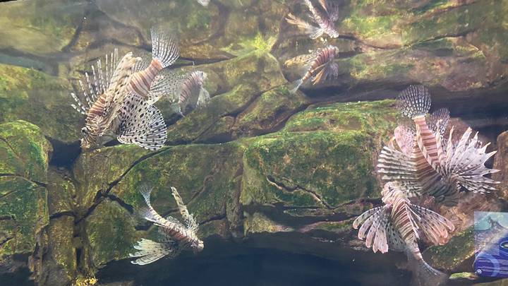 Фото: Иссалина Аюпова / Вечерняя Москва Фото: Иссалина Аюпова / Вечерняя Москва