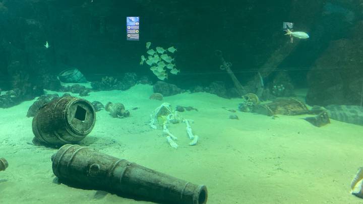 Фото: Иссалина Аюпова / Вечерняя Москва Фото: Иссалина Аюпова / Вечерняя Москва