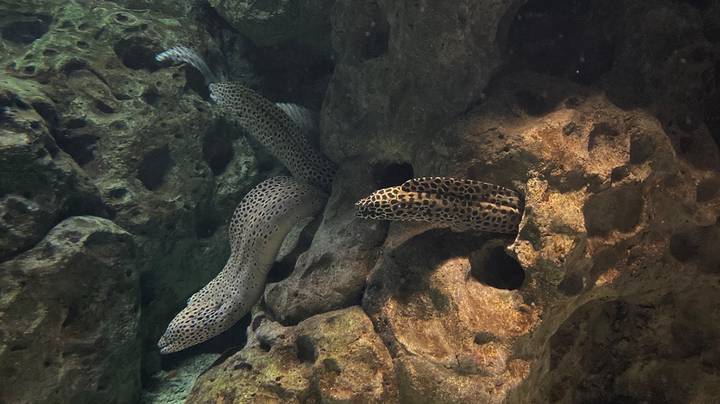 Фото: Иссалина Аюпова / Вечерняя Москва Фото: Иссалина Аюпова / Вечерняя Москва