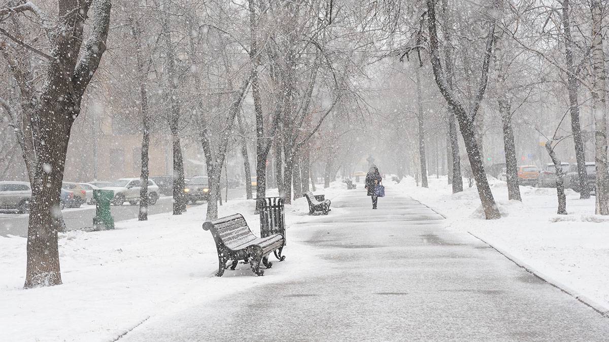 Синоптики рассказали о погоде в Москве в День защитника Отечества