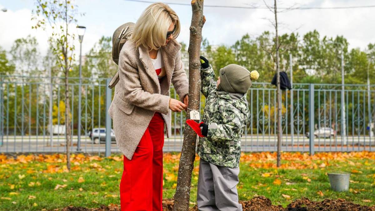Собянин: Почти 23 тысячи именных деревьев высадили москвичи в честь новорожденных