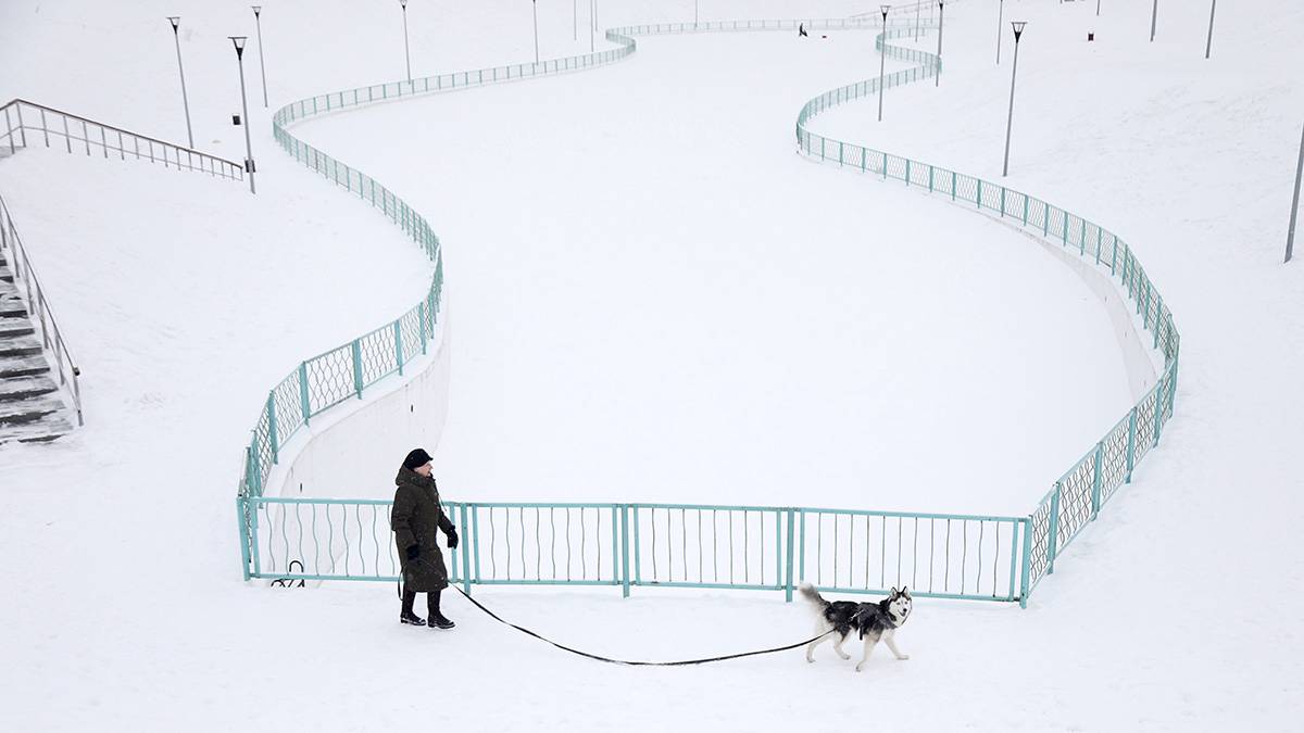 Морозы до 14 градусов ожидают жителей Москвы 23 февраля