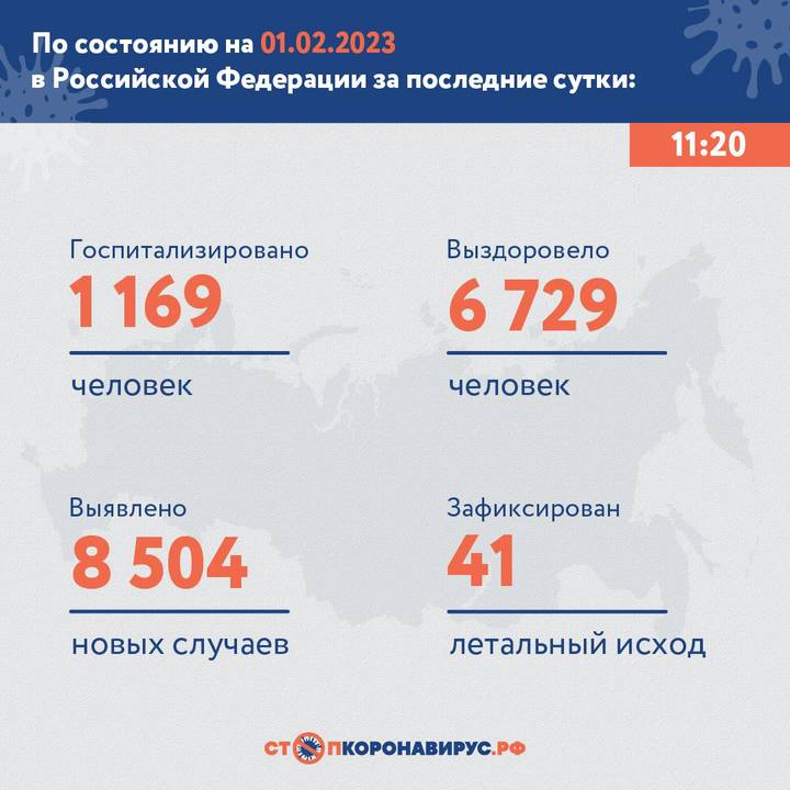 В России выявили 8504 новых случая коронавируса за сутки