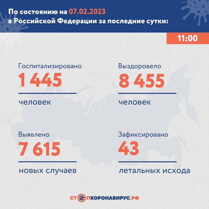 В России выявили 7615 новых случаев коронавируса за сутки