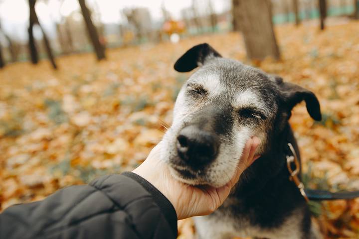 Сергунина: Более 50 миллионов рублей перечислили москвичи на благотворительность через mos.ru
