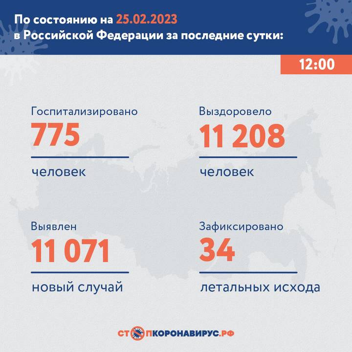 В России за сутки выявили 11 071 новый случай коронавируса