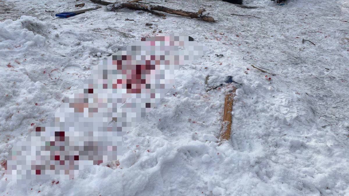 Пенсионер ранил топором двух человек в парке на севере Москвы