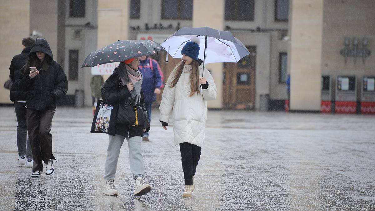 Москвичам пообещали дождливую погоду до конца следующей недели