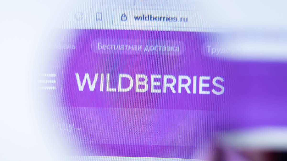 Министерство труда разберется с забастовками владельцев ПВЗ сети Wildberries