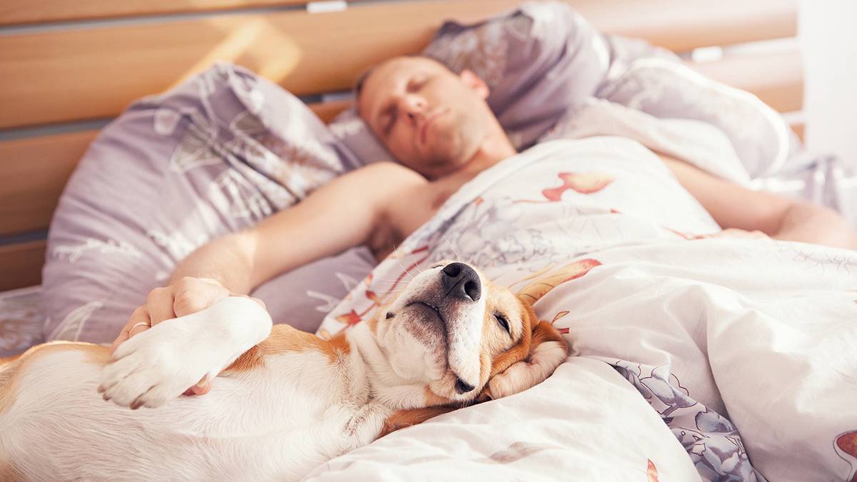 Диетолог Хембри назвала семь простых продуктов, которые помогут улучшить сон