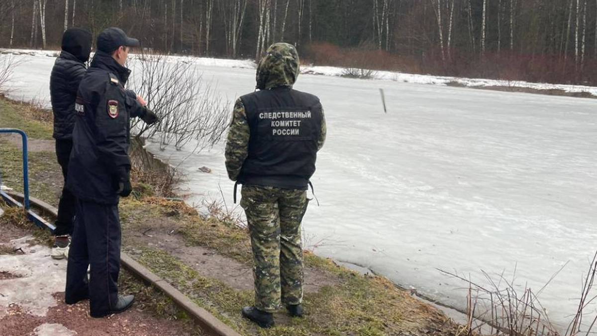 СК раскрыл совершенное в 2019 году убийство девушки на востоке Москвы