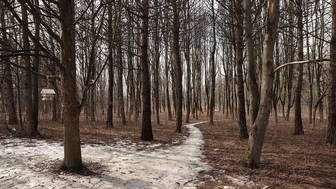 Какая погода будет в Москве и области в марте на праздники