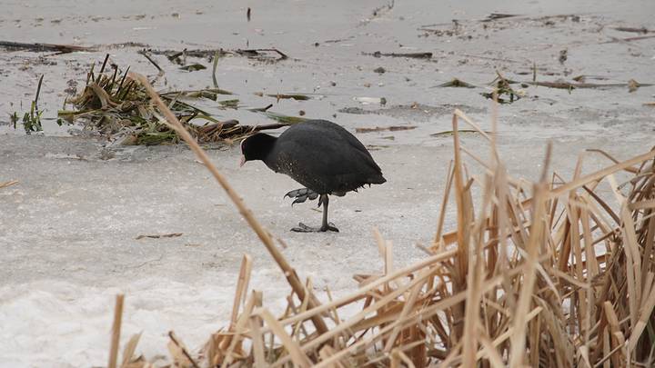 Фото: Анатолий Цымбалюк / Вечерняя Москва