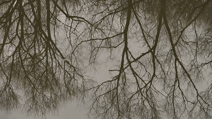 Фото: Анатолий Цымбалюк / Вечерняя Москва