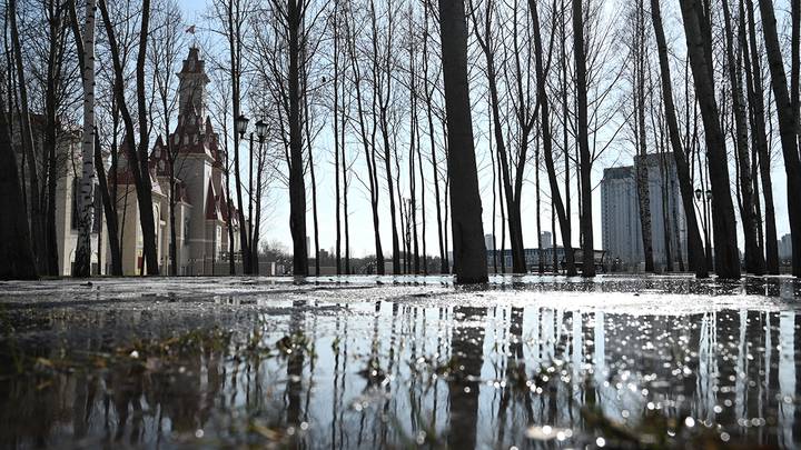 Фото: Алексей Орлов / Вечерняя Москва