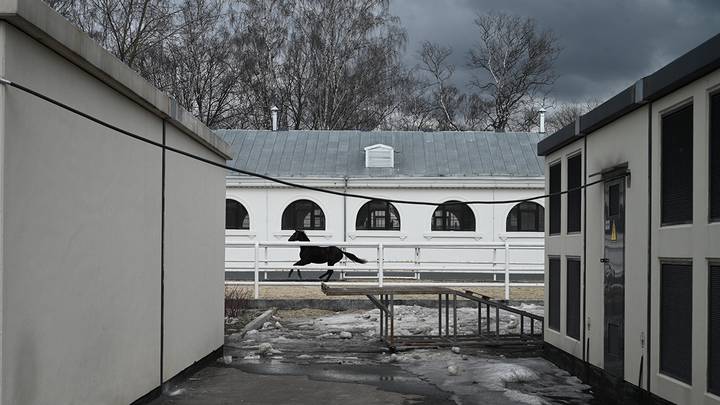 Фото: Алексей Орлов / Вечерняя Москва