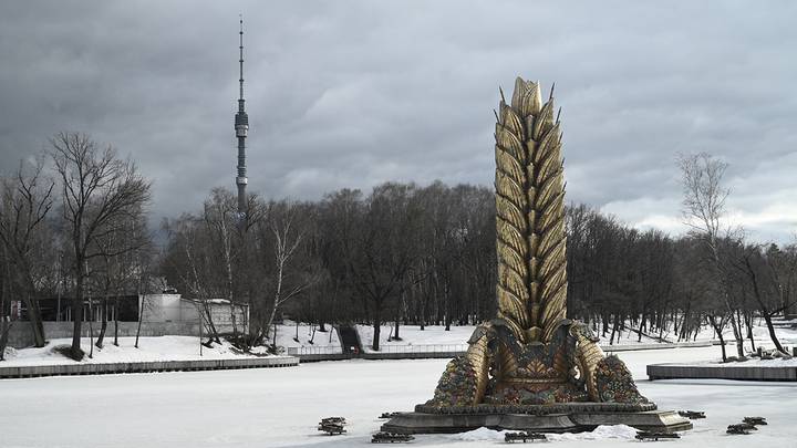 Фото: Алексей Орлов / Вечерняя Москва
