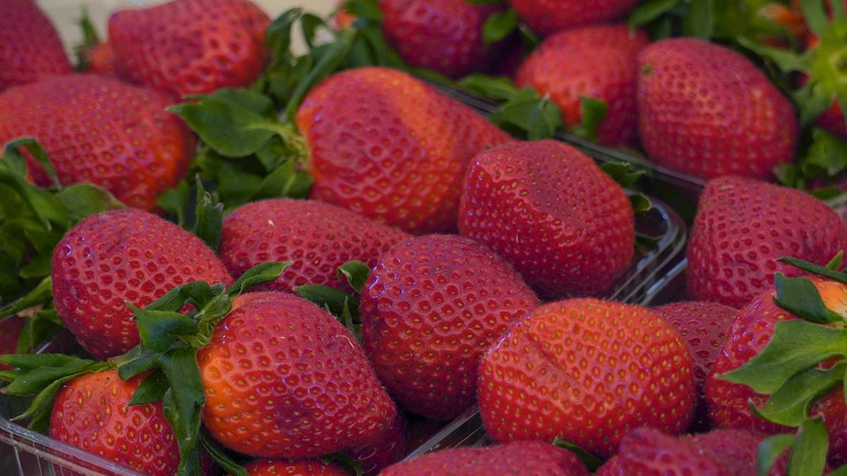 Яркий вкус главной летней ягоды: в Москве открылись клубничные развалы