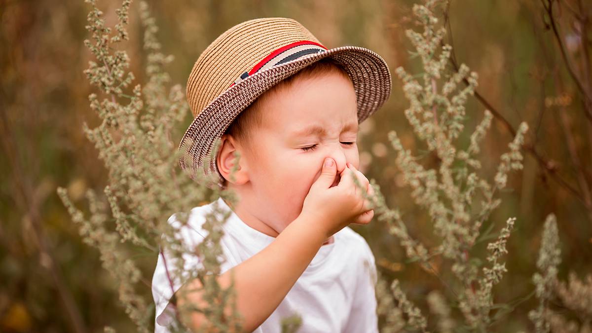 Пульмонолог Клюхина рассказала о методе лечения аллергии на пыльцу