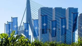 МИД: НАТО выбрало Балтийско-Скандинавский регион как зону борьбы с Россией